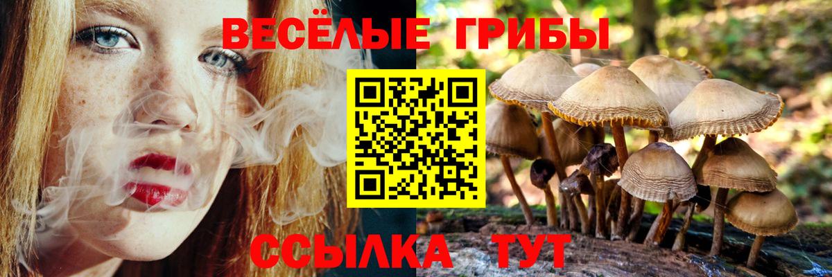 магазин    Галлюциногенные грибы GOLDEN TEACHER  Вход с VPN  Бердск 
