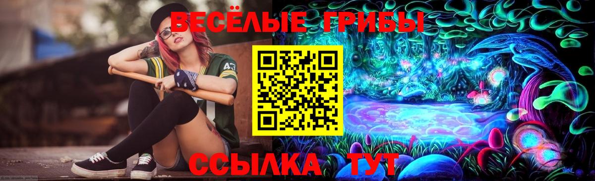 Псилоцибиновые грибы GOLDEN TEACHER Бердск